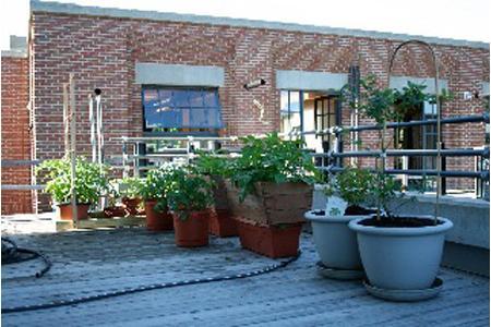 Design Diary: Davis Square Loft With Roof Garden sharon-kitchens-deck-brick-building