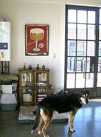 Design Diary: Davis Square Loft With Roof Garden sharon-kitchens-doggie