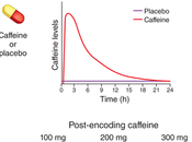 Want Remember Something? Have Some Coffee!