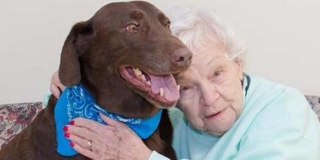 Rusty The Stray Dog Becomes Loyal Companion To Nursing Home Residents