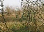 Italy: Fences Hunting Center