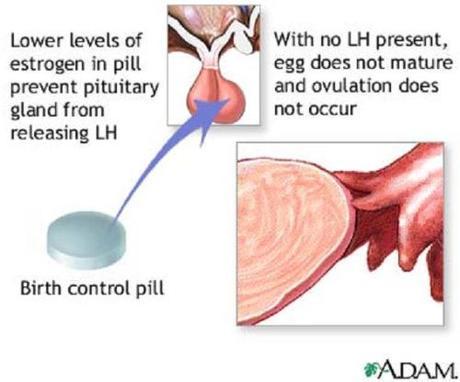 how birth control pills work