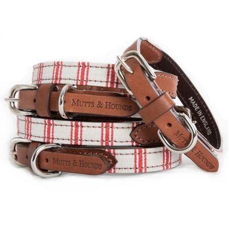 Responsible Puppy Care: Know What to Do with Your New Pup