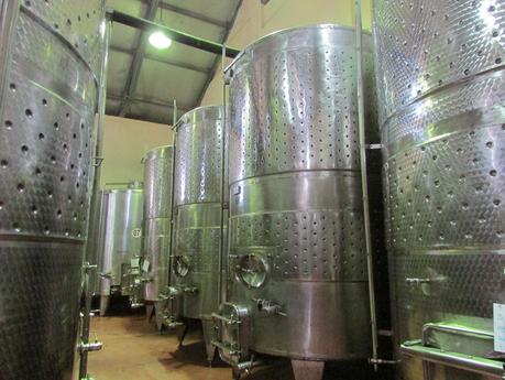 Visit to the Four Seasons Wines Vineyard at Baramati, Maharashtra