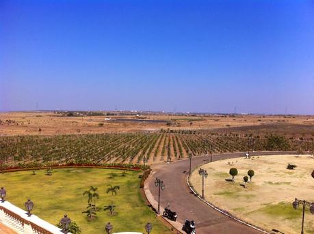 Visit to the Four Seasons Wines Vineyard at Baramati, Maharashtra
