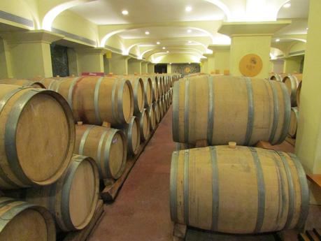 Visit to the Four Seasons Wines Vineyard at Baramati, Maharashtra