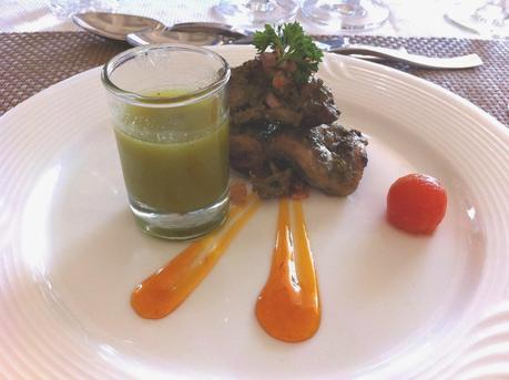 Visit to the Four Seasons Wines Vineyard at Baramati, Maharashtra