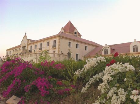Visit to the Four Seasons Wines Vineyard at Baramati, Maharashtra