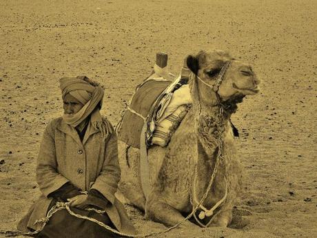 bedouin-and-camel1