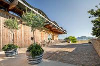 Grape Spotlight: Moravian Pálava Using Sonberk as a Benchmark