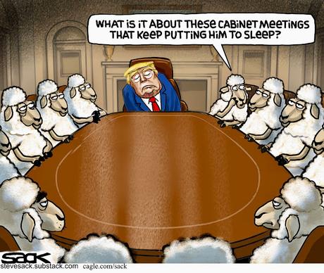 Counting The Sheep In His Cabinet