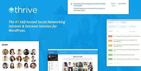 Best BuddyPress Themes and Plugins 2026 Thrive BuddyPress Theme