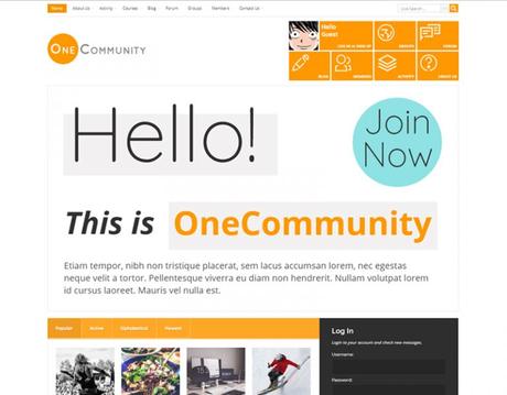 Best BuddyPress Themes and Plugins 2026 One Community BuddyPress Theme