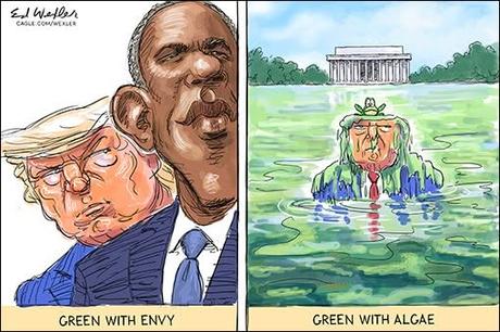 Green Is Trump's Color
