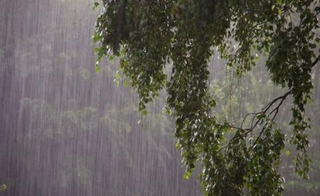 Rain