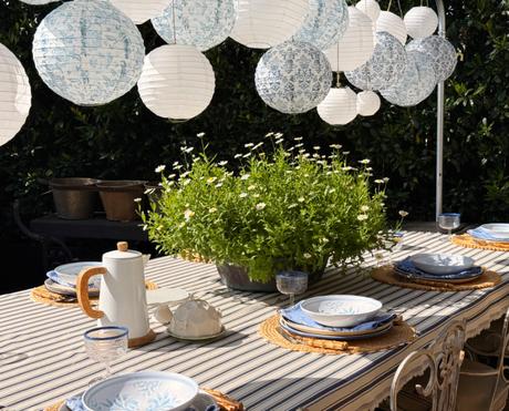 Backyard Summer Days