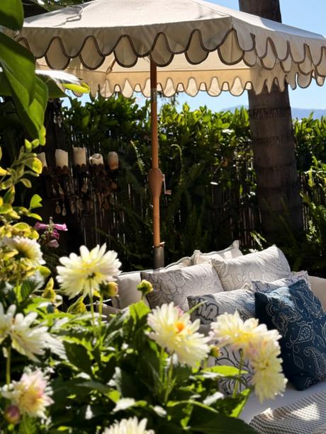 Backyard Summer Days