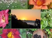 Blessed Summer Solstice