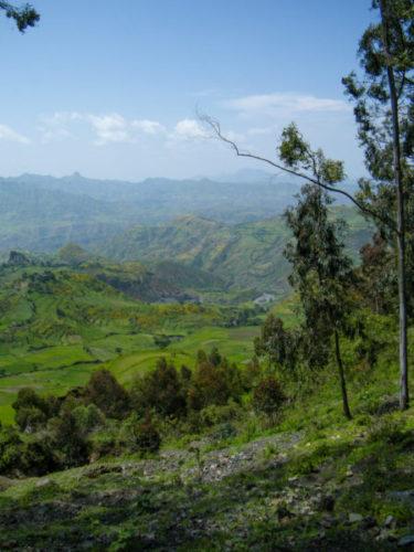 Lush green scenery in the foothills of the Simien Mountains with trees in the foreground and mountains beyond