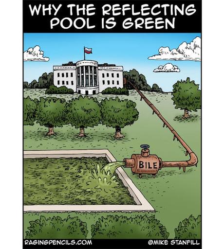Why The Reflecting Poll Is Green