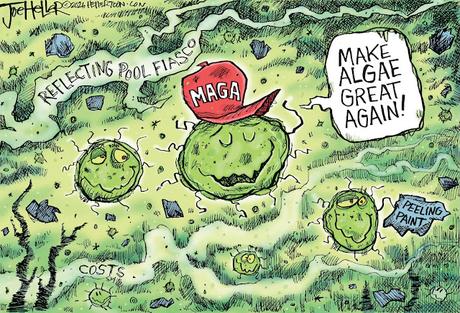 M. A. G. A.