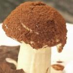 Looking for a healthy dessert for your little ones? Try this Delicious & Healthy Mushroom Milk Pudding Recipe for Kids | Easy Homemade Dessert.