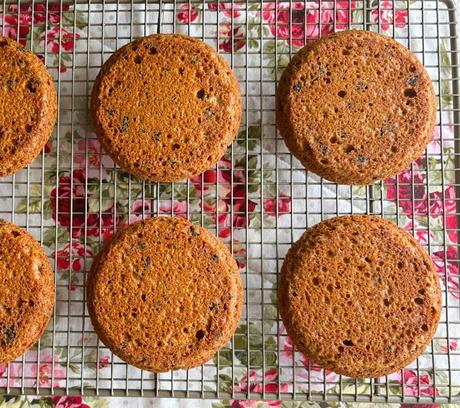 Boston Brown Bread Toaster Cakes