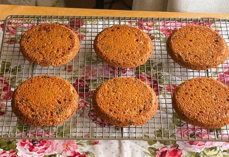 Boston Brown Bread Toaster Cakes