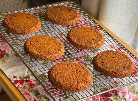 Boston Brown Bread Toaster Cakes