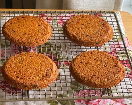 Boston Brown Bread Toaster Cakes