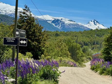 Gravel-road junction marked Carretera Austral and Los Manzanos, bordered by purple lupins beneath snow-covered peaks