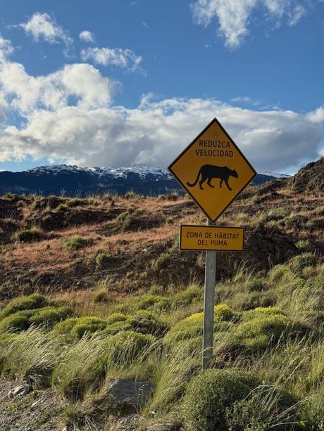Spanish roadside sign warning drivers to reduce speed in a puma habitat zone