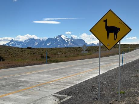 Guanaco crossing warning sign beside the road to Torres del Paine, with snow-capped mountains in the distance