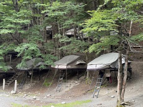 Raised canvas tents with access ladders among native forest at Chileno campsite in Torres del Paine
