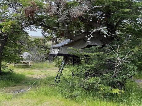 Raised canvas tent with ladder access among trees at a campsite in Torres del Paine