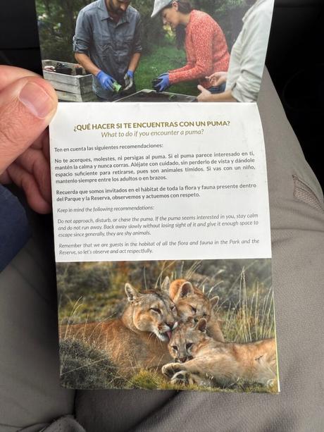 Bilingual leaflet explaining what to do during a puma encounter in Torres del Paine National Park
