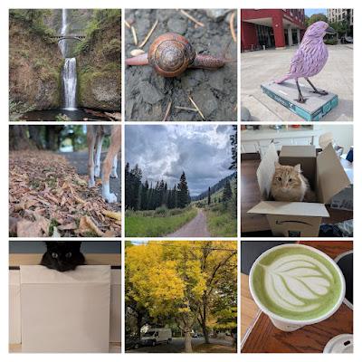 What I Learned, Looking Forward, Looking Back: September 2026
