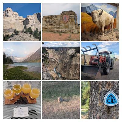 What I Learned, Looking Forward, Looking Back: August 2026