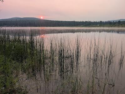 What I Learned, Looking Forward, Looking Back: July 2026