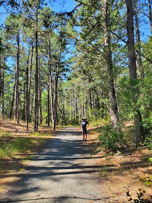 WEEKEND AT THE BEACH, LEWES, DELAWARE: Sun, Sand and Nature