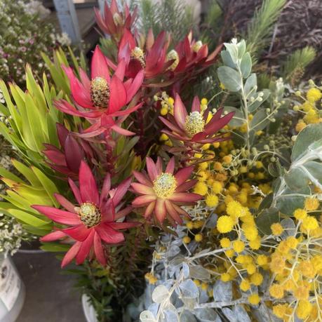 The Farm Is Changing — And So Am I flowers