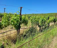 Start Practicing Regenerative Agriculture Through the NRCS Regenerative Pilot Program