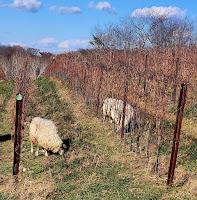 Start Practicing Regenerative Agriculture Through the NRCS Regenerative Pilot Program Start Practicing Regenerative Agriculture Through the NRCS Regenerative Pilot Program