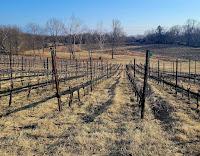 Start Practicing Regenerative Agriculture Through the NRCS Regenerative Pilot Program