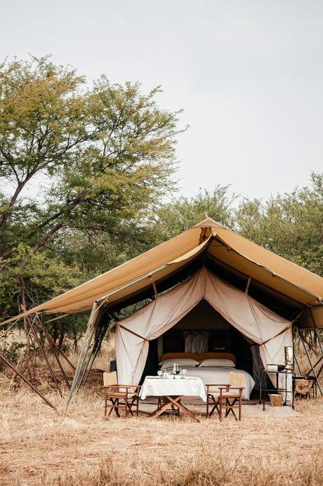 Luxury safari glamping tent in Serengeti savanna with a dining table, chairs, and bed visible, surrounded by African bush trees.