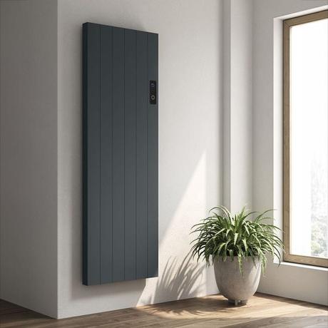 Reina Nika anthracite electric vertical designer radiator on light wall nearby houseplant and window