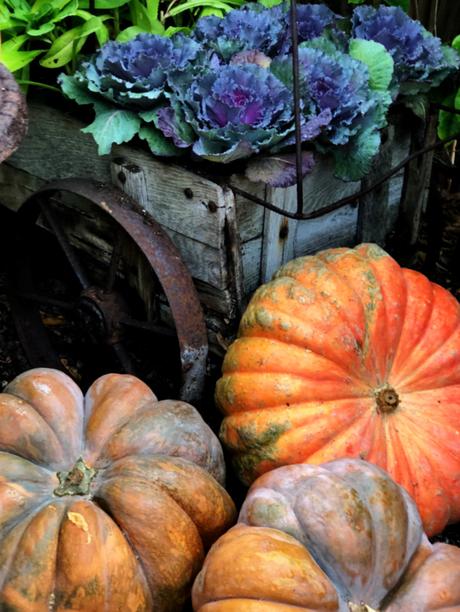 October  Seasonal Styling