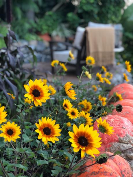 October  Seasonal Styling