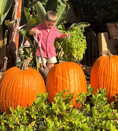 October  Seasonal Styling