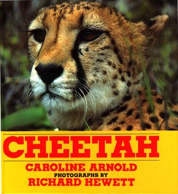 FUN WITH ADJECTIVES CHEETAH POSTER: Projects and Activities Inspired by My Books
